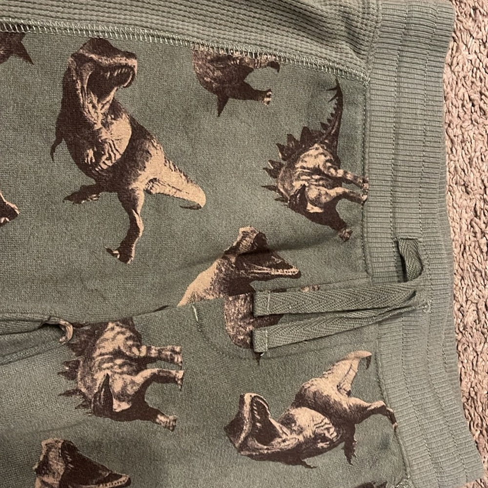Dinosaur sweatpants and hoodie - Picture 3 of 8